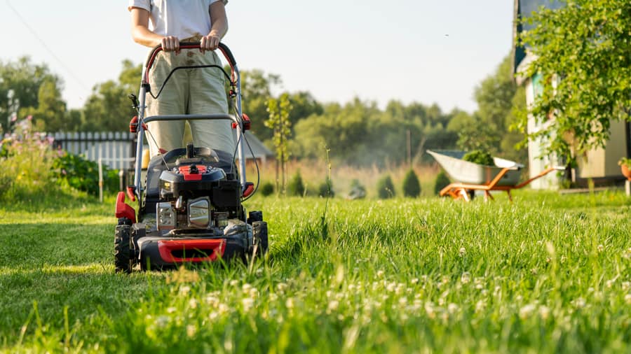 Entretien de jardin et tonte de pelouse à domicile